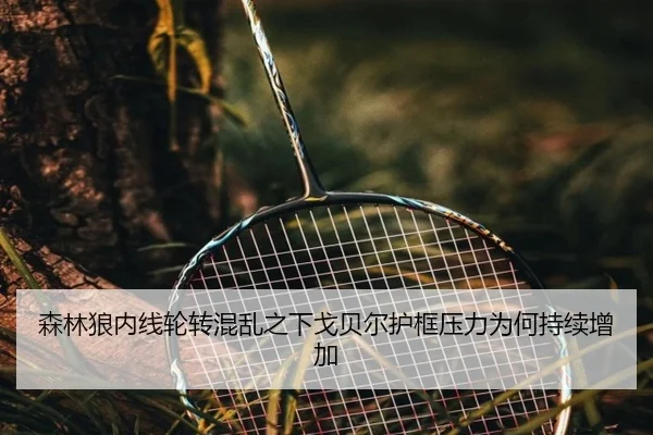 森林狼内线轮转混乱之下戈贝尔护框压力为何持续增加